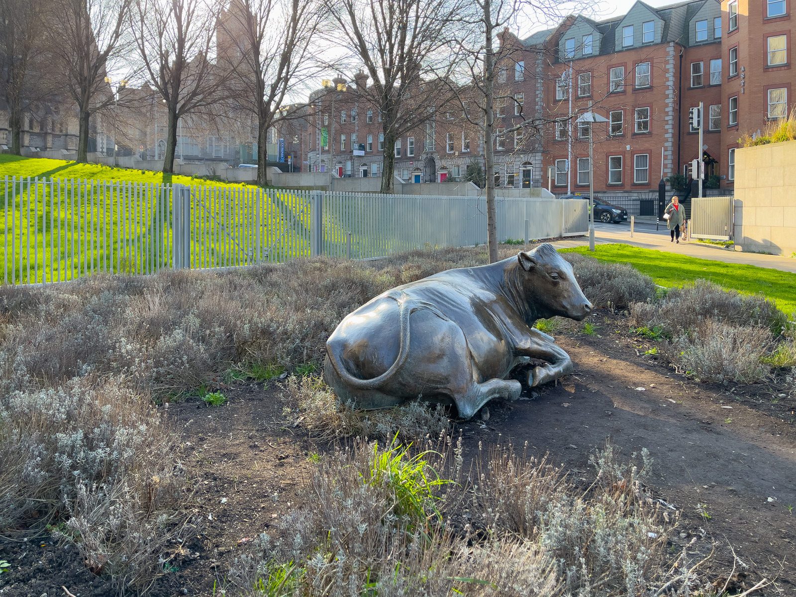 LONELY BRONZE COW AT WOOD QUAY 002