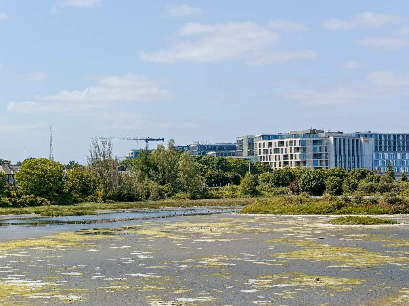 BOOTERSTOWN MARSH AND TRAIN STATION [I USED A SIGMA DP3 QUATTRO] 014